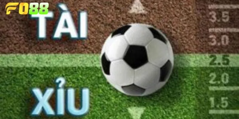 Cách đặt cược và vào tiền kèo đơn giản nhất